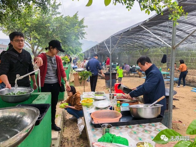 脍炙人口蚂蚁农场_脍炙人口图片(3)