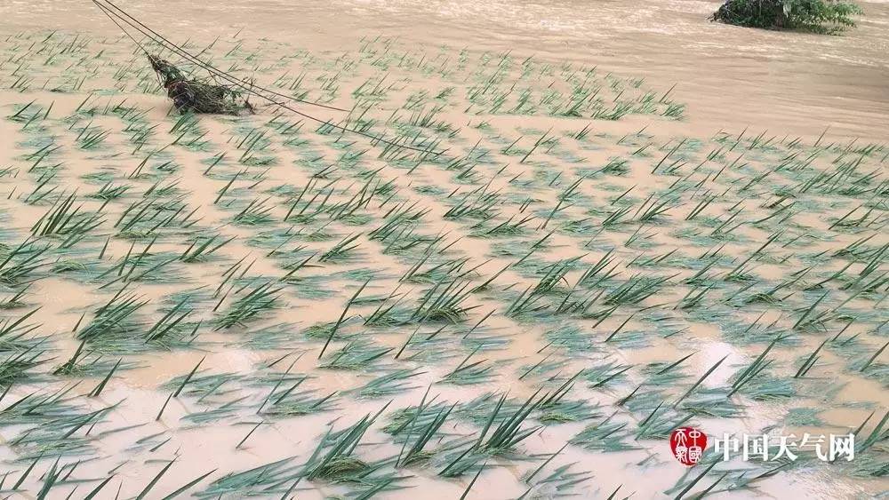 湖北损失人口_湖北地图(3)