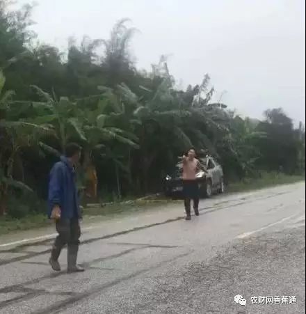 臂州市人口_人口普查图片(2)