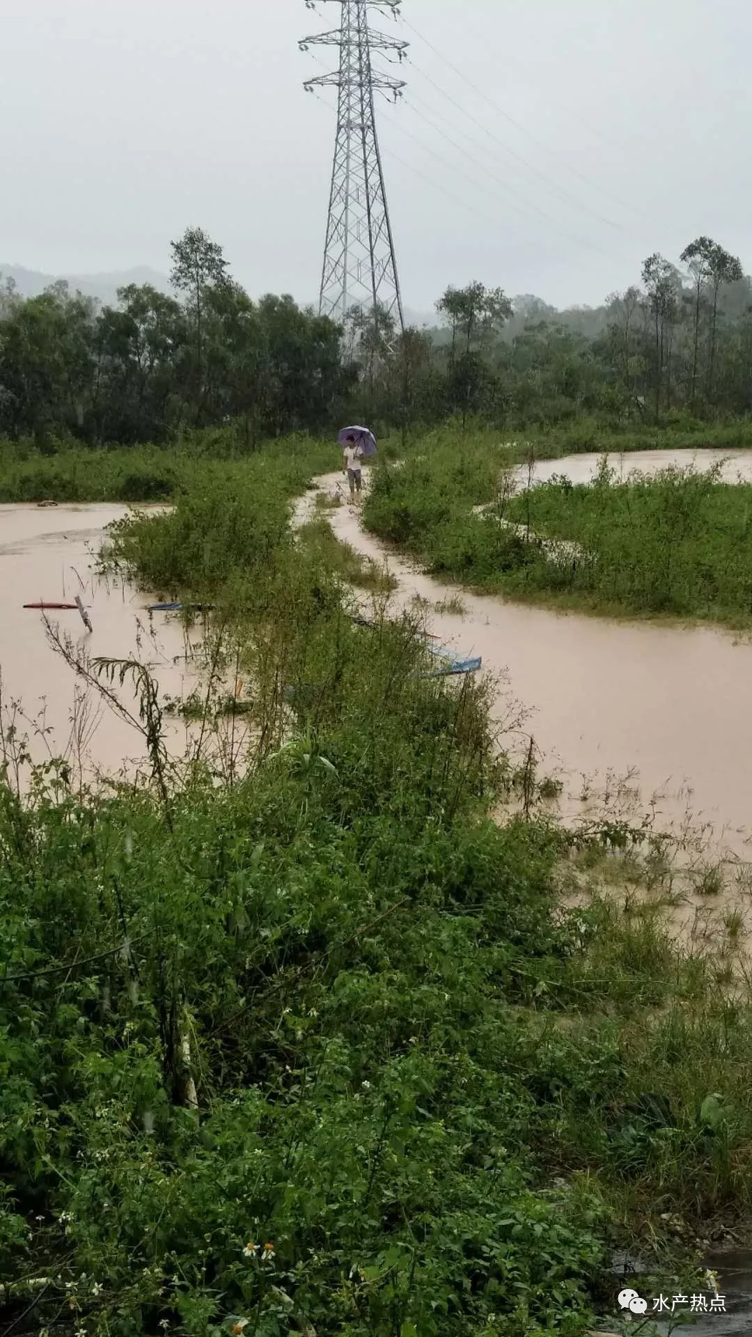 阳春潭水镇人口_阳春镇旅馆(2)