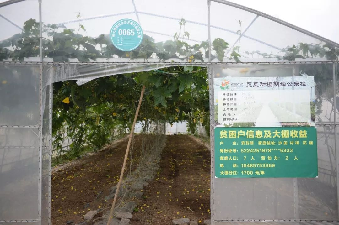 贵州经济总量突破1万亿元_贵州经济数据图片(3)