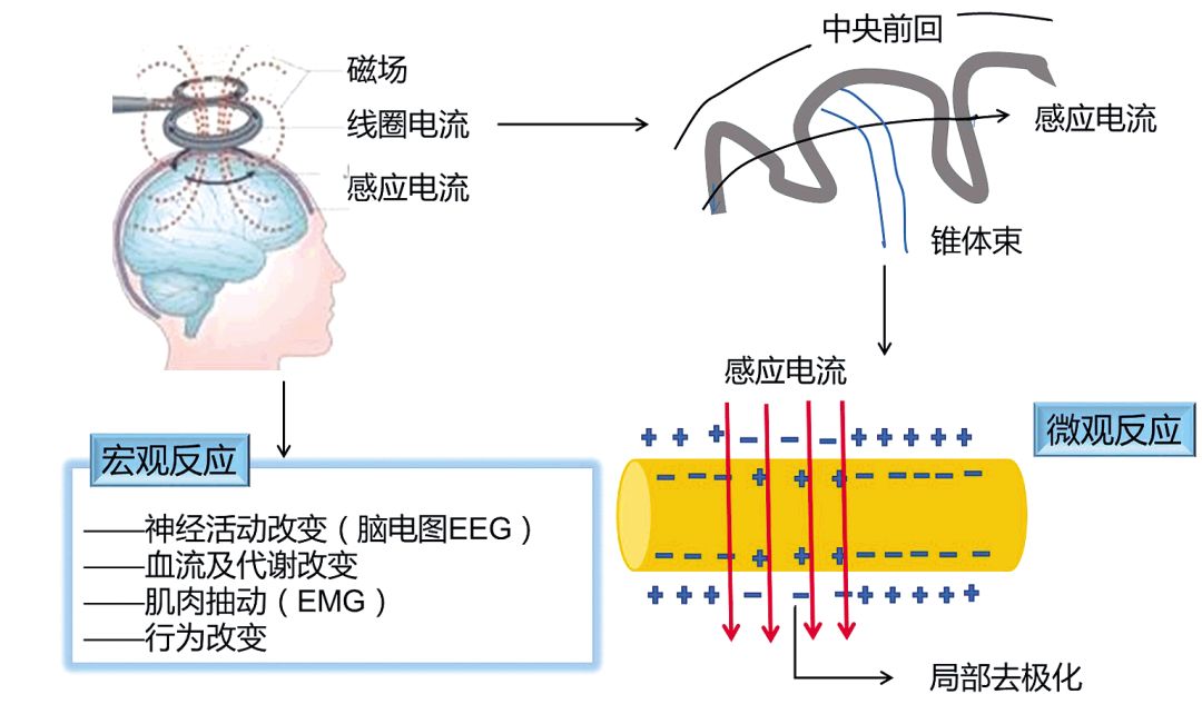 777893-aec4aad55fda8f6035fb5b03867c79b9