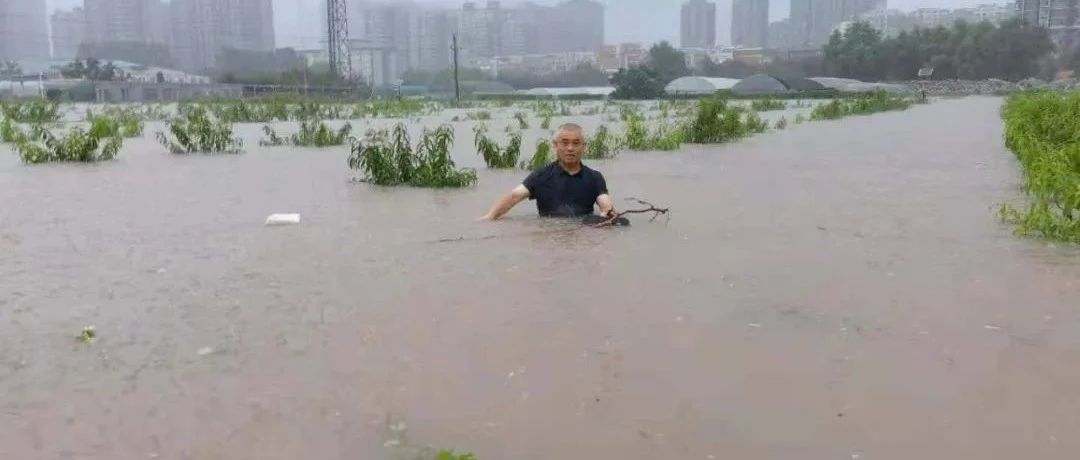 抢救“种业芯片”！河南两个研究所的这几天