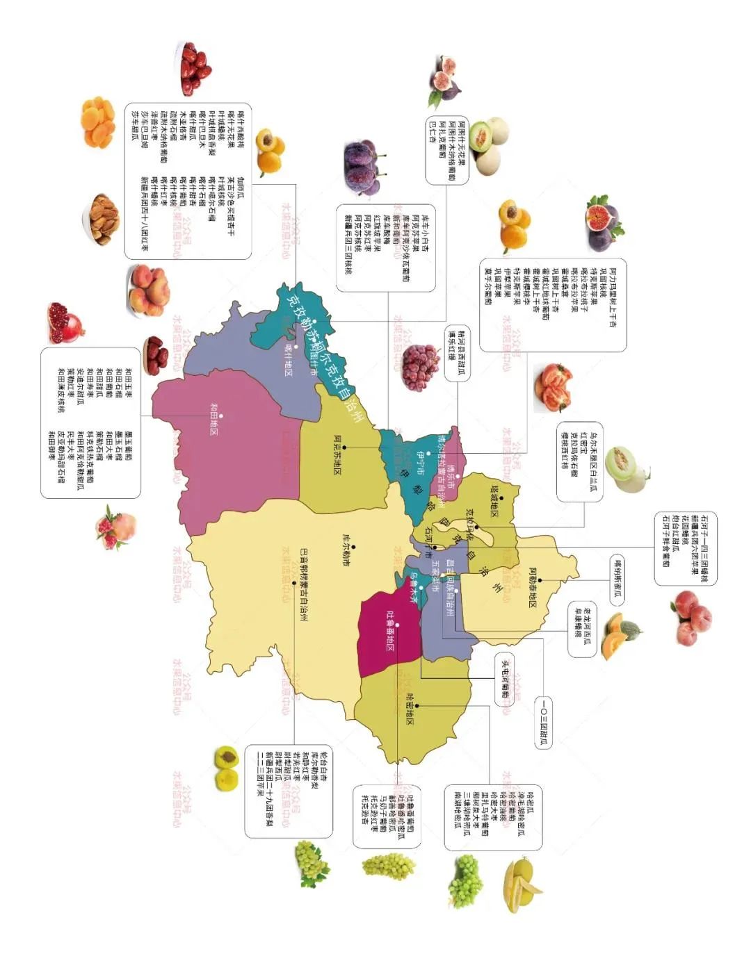 快来看这13个省份的水果地图