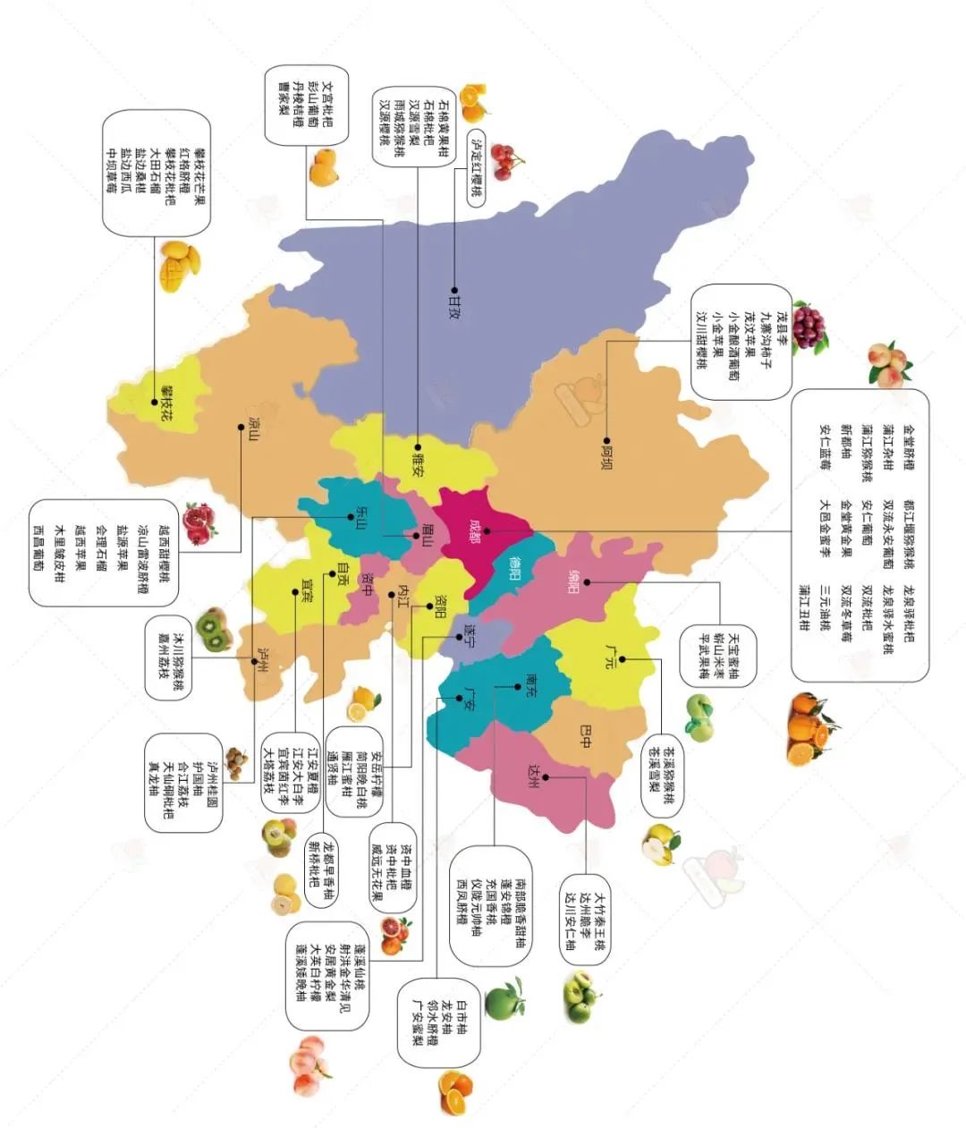 四川陕西山东云南下面是13个水果大省的水果地图,值得参考(请横屏观看