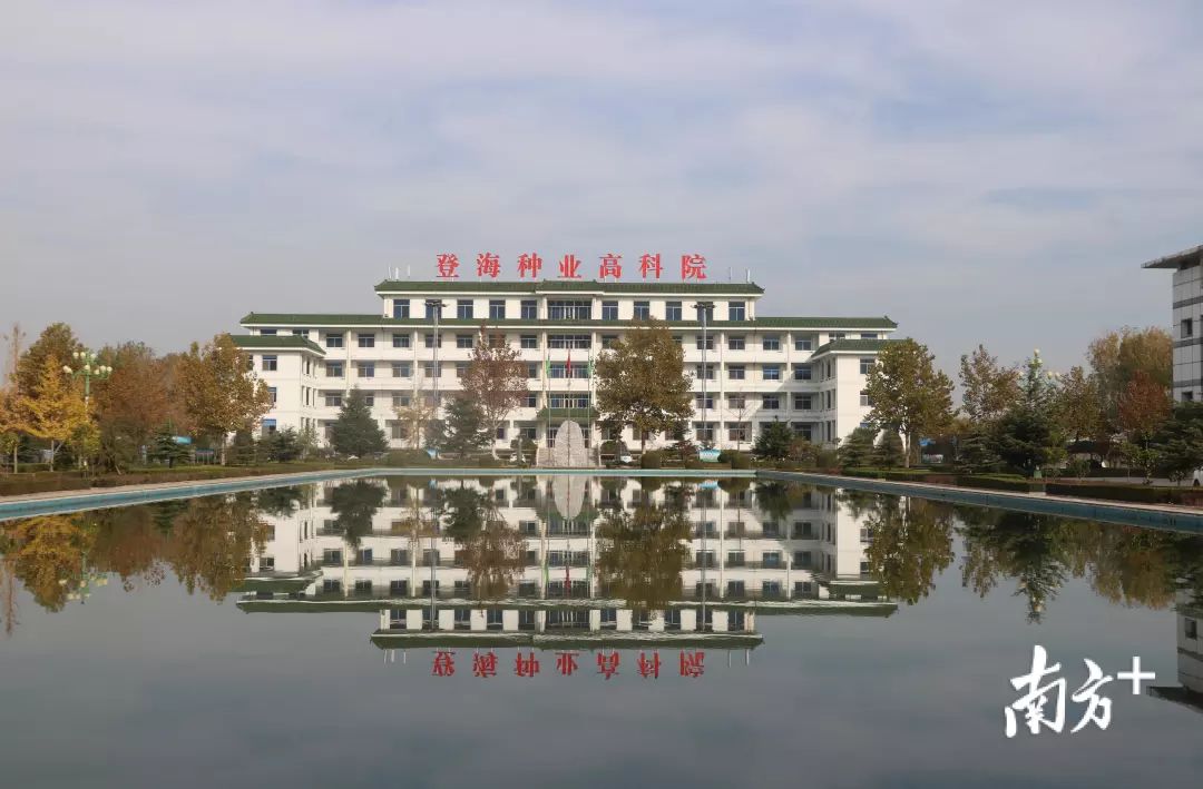 登海种业