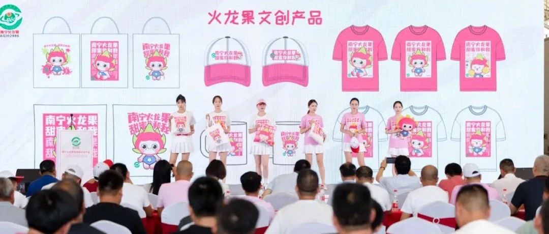 南寧火龍果牽手嘉興水果市場(chǎng),，越賣(mài)越紅火！