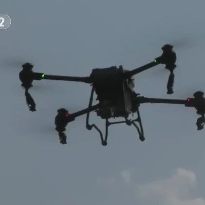 無人機吊運香蕉 云南元陽種植戶有了新幫手