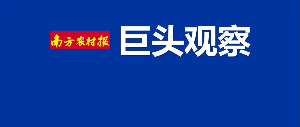 诺普信高管被警示！涉及股票交易