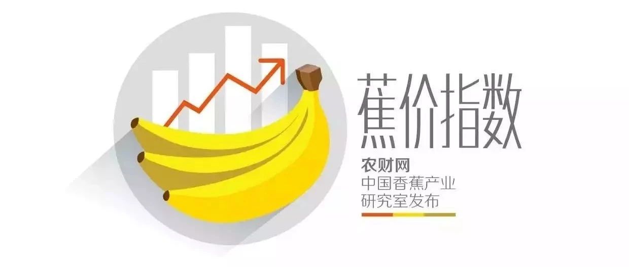 【农财网·蕉价】云南行情混乱，走货不一