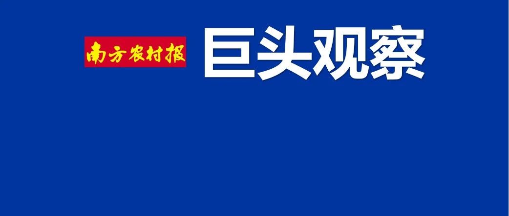 流通三巨头PK！天禾、辉隆、浙农，谁潜力最大？