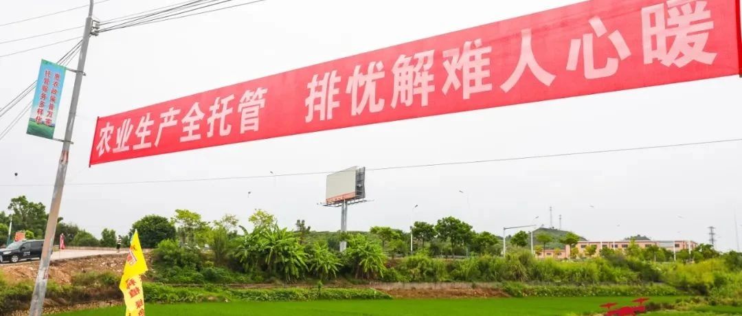 行業(yè)首次,！參會者都是超5萬畝的“種植大戶”，農(nóng)資廠家等不及了……
