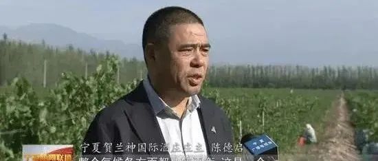 福建“傻子”商人陈德启，挣外国人的钱，回中国花十几亿种葡萄！