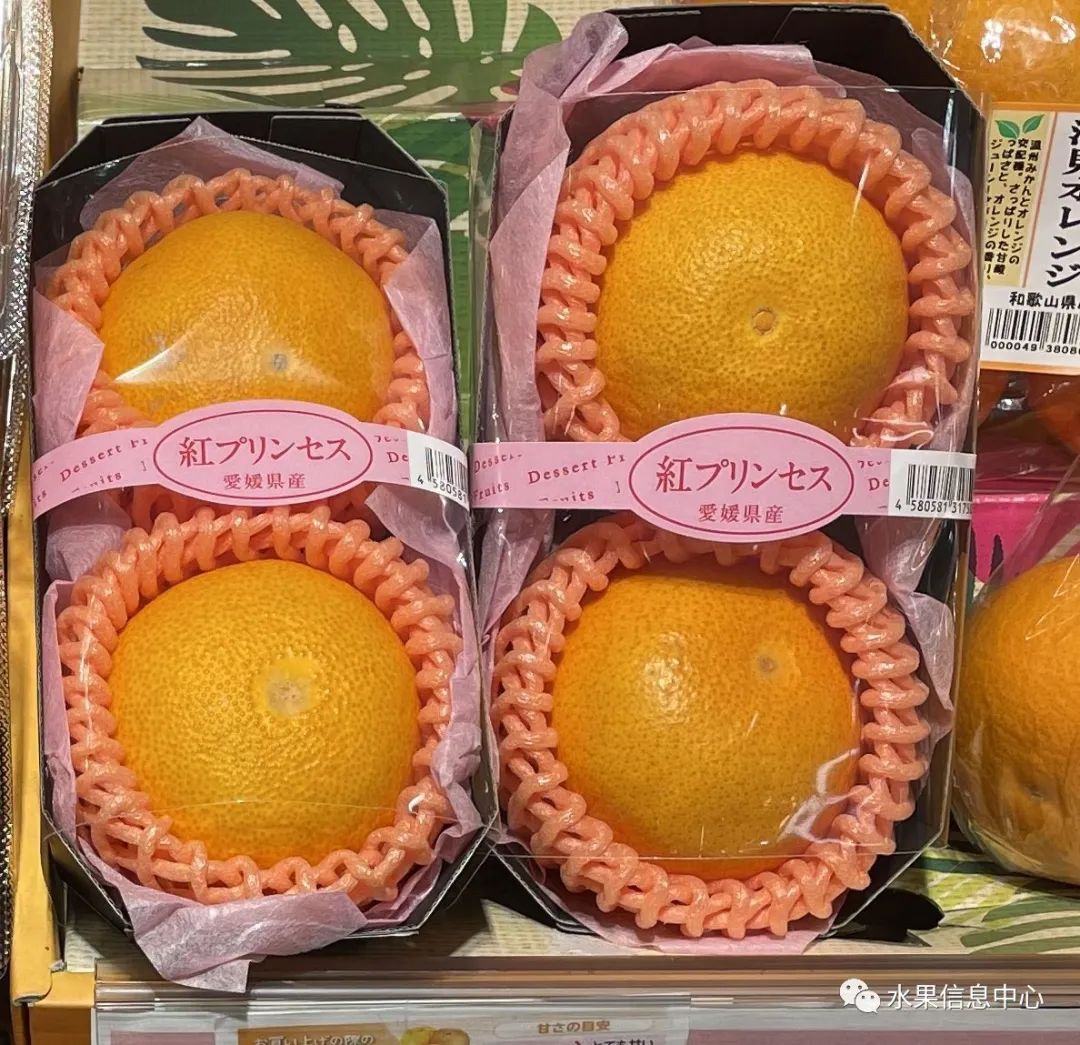 在今年的3月,日本柑橘新品种爱媛48号也问世,不过这次并非是大批量