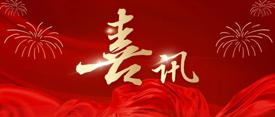 喜訊,！新洋豐榮登兩項湖北企業(yè)百強榜