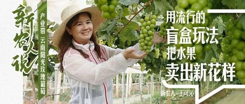 傳媒人轉(zhuǎn)行做農(nóng)業(yè)，葡萄風口挖爆品