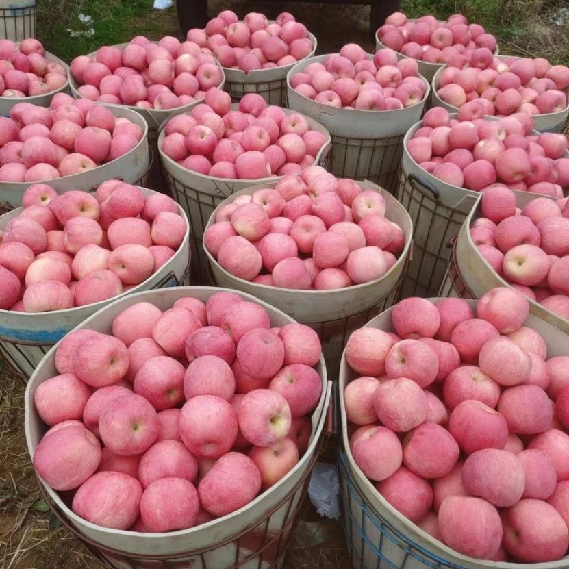 有望取代波爾多液,！植物營(yíng)養(yǎng)免疫劑走紅市場(chǎng)