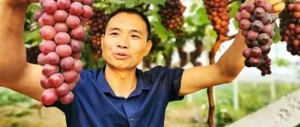 【銷售錦囊】夫妻檔生意紅火,，這款助銷小程序你不妨試一下？