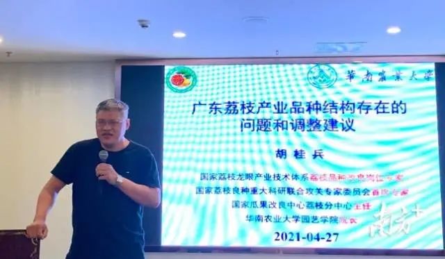 國家荔枝良種重大科研聯(lián)合攻關首席科學家、國家荔枝龍眼產(chǎn)業(yè)技術體系荔枝品種改良崗位專家,、華南農(nóng)業(yè)大學園藝學院院長胡桂兵