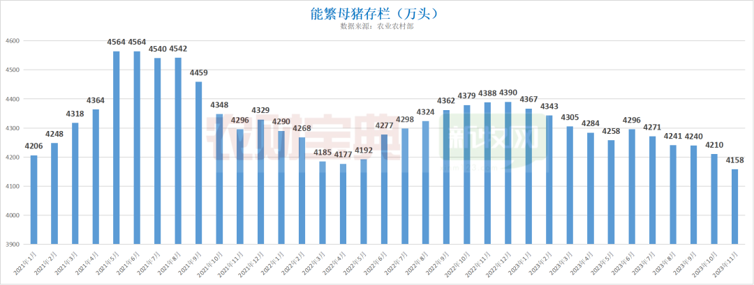 能繁母猪存栏量数据图图片