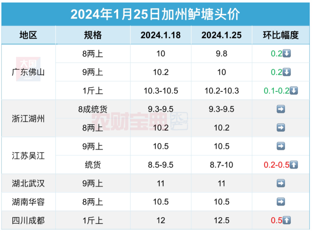 震驚同比低17元斤加州鱸養殖滑鐵盧佛山6000元畝塘無人投標