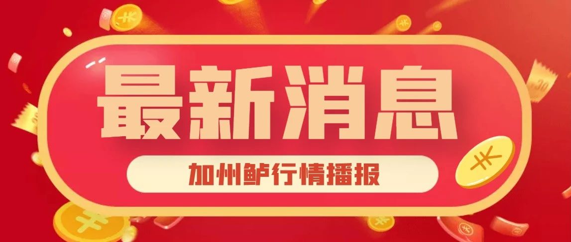 加州鲈大鱼继续涨，新鱼上市小鱼销售压力加大！中秋会涨价吗？| 兴牧威鲈肝速康特约最新报价