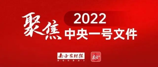 2022年中央一号文件发布！附详细解读