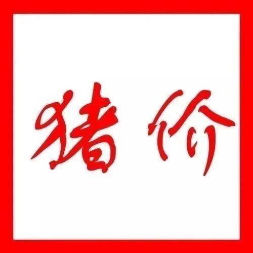 9省豬價下調||今日豬價