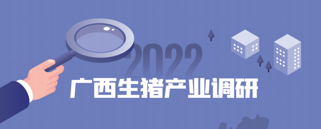 广西猪业调研报告｜32个养猪大县！至少17家企业存栏母猪过1.5万头！