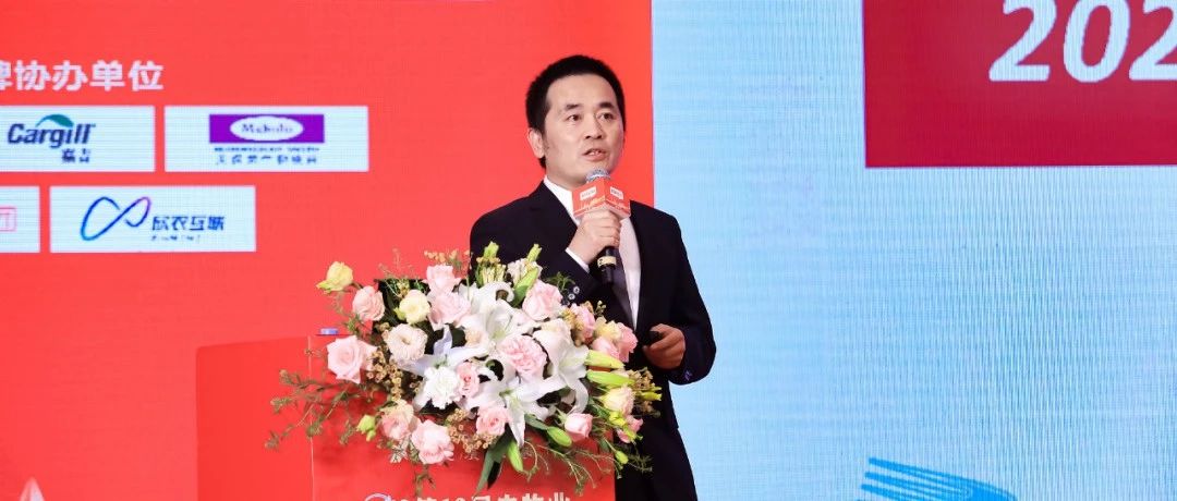 好消息,！朱增勇：2024年供需關(guān)系改善，生豬均價會有所上漲,，養(yǎng)殖微幅盈利