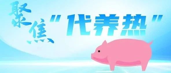 搶破頭！廣東懷集“生豬代養(yǎng)”比例超9成,，20余家豬企競爭650家代養(yǎng)戶,，代養(yǎng)為何突然火了,？‖旺大集團(tuán)特約?豬事半月談