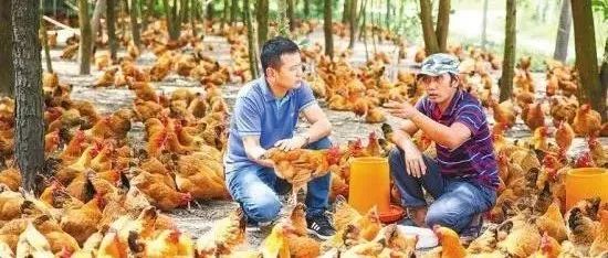傳味公司：創(chuàng)新扶貧模式，全面助力鄉(xiāng)村振興 | 龍頭企業(yè)典型案例