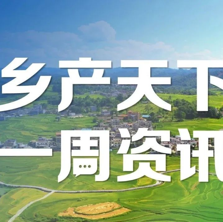 云南加快提升全省農(nóng)村居民收入水平,；陜西召開食用菌全產(chǎn)業(yè)鏈建設(shè)現(xiàn)場推進會 | 一周鄉(xiāng)產(chǎn)