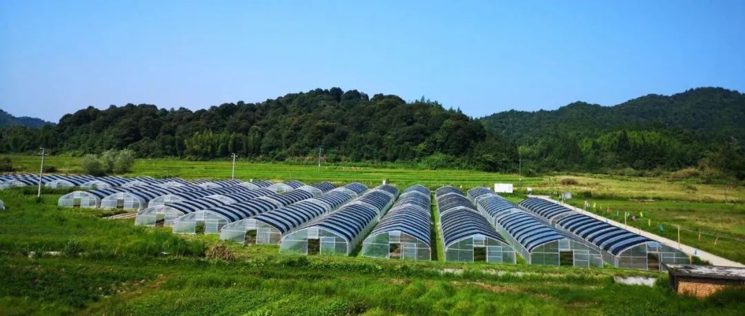 廣東52個(gè)園區(qū)（基地）入選,！《全國(guó)農(nóng)村創(chuàng)業(yè)園區(qū)（基地）目錄（2021）》公布