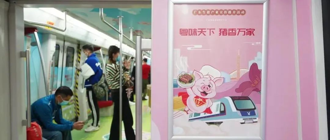 嘀！“生豬產(chǎn)業(yè)振興號”地鐵專列正式發(fā)車,，快來打卡,！