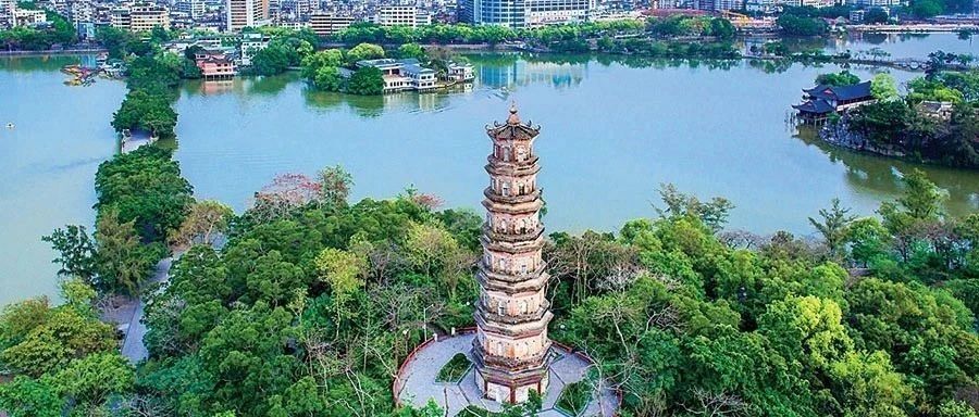 “優(yōu)秀”榜單來了,！2020年度惠州市鄉(xiāng)村振興考核結(jié)果出爐