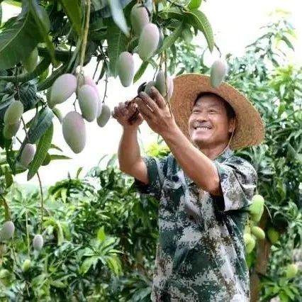 @廣東企業(yè),，粵桂協(xié)作一大波福利來襲