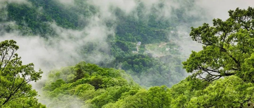 上新了！23個鄉(xiāng)村休閑旅游精品景點 | 新春游鄉(xiāng)村①
