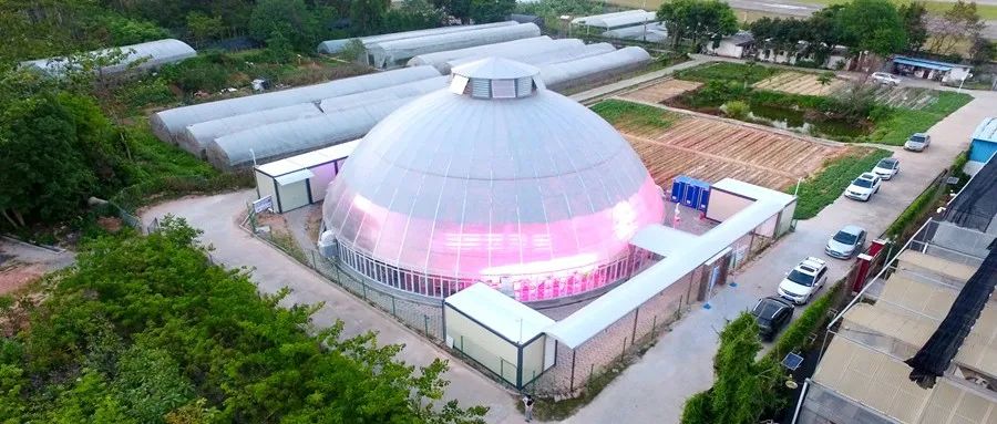 华南农业大学“乡振小院”落成，都是智慧农业“黑科技”！