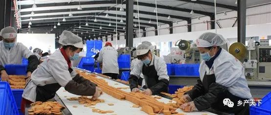 紅太陽精品：東“菜”西“薯”，爭做保障供給排頭兵 | 龍頭企業(yè)典型案例