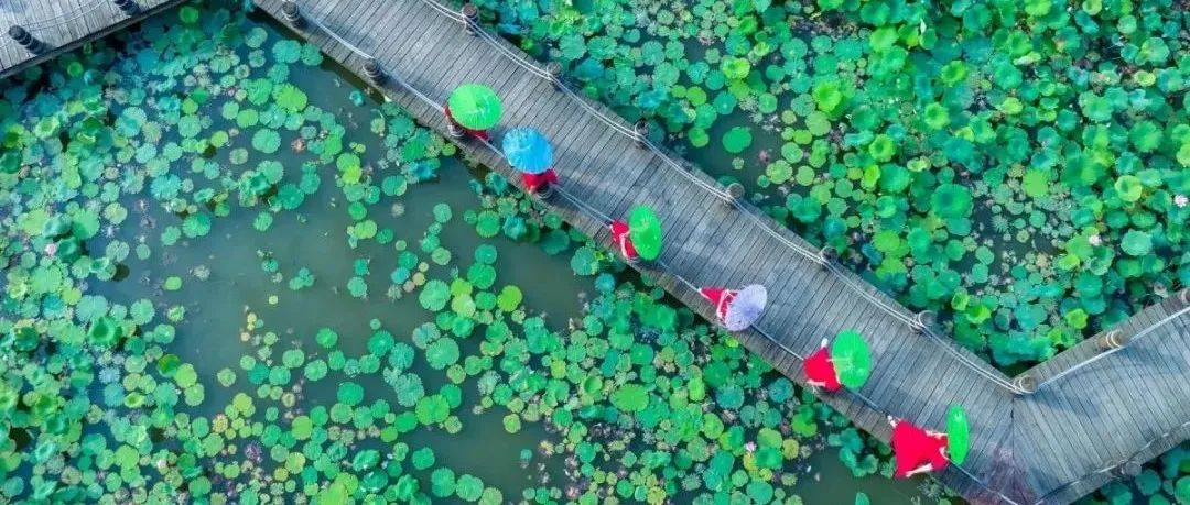 靈山秀水,！廣西舉辦鄉(xiāng)村休閑旅游推介會(huì),，邀你“打卡”暢游