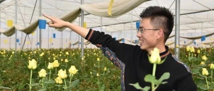 玫瑰花中“嗅”出商機(jī),，他怎么做的？ | 農(nóng)村創(chuàng)業(yè)優(yōu)秀帶頭人案例