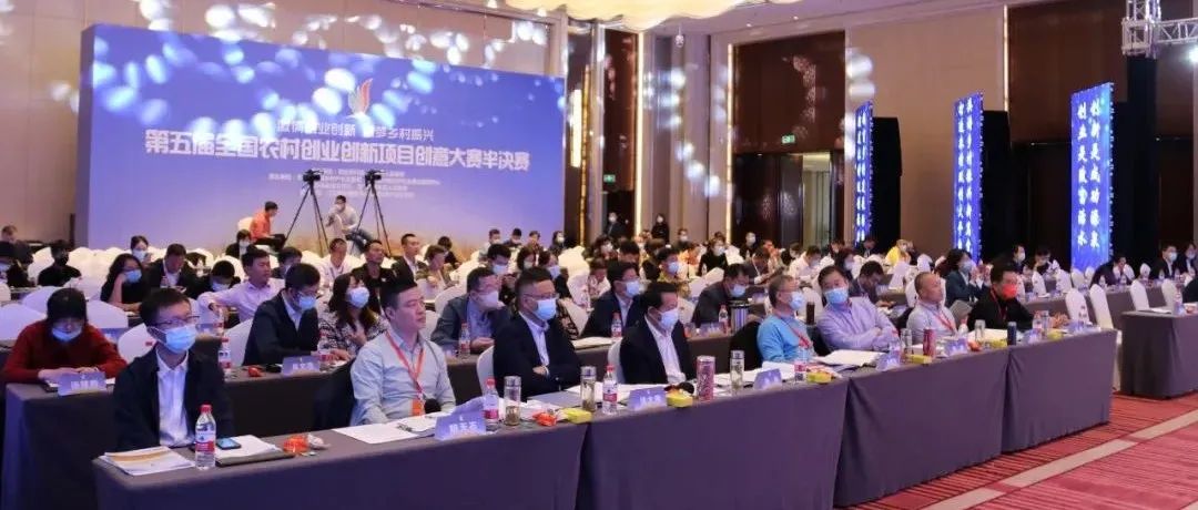 30個(gè)初創(chuàng)組項(xiàng)目突圍,！第五屆全國農(nóng)村雙創(chuàng)大賽如火如荼進(jìn)行中