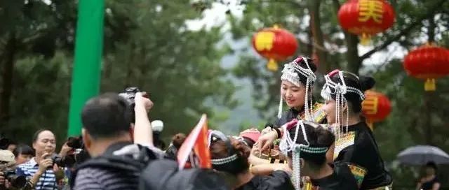 四屆豐收節(jié),，給廣東帶來了什么,？