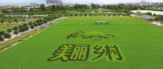快來為你心目中的廣東美麗鄉(xiāng)村投票吧?。?>
                </div>
            </a>
        </div>
        <div   id=