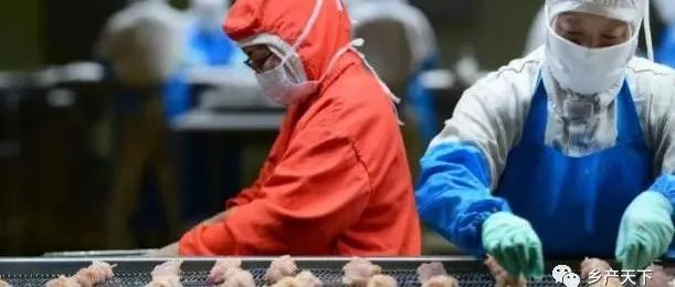 青島九聯(lián) ： 一個(gè)肉雞民族品牌的國(guó)際探索 | 龍頭企業(yè)典型案例