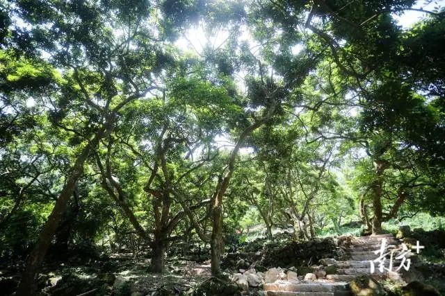 一景一色皆如畫的“網(wǎng)紅村”鄧山村,。