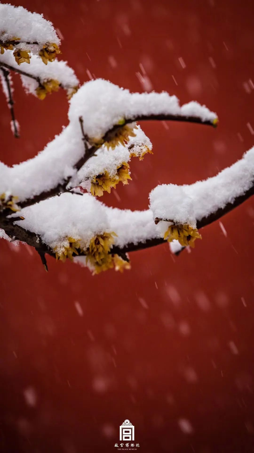 北京人晒下雪，广东人晒空调……不慌，冷空气马上来了
