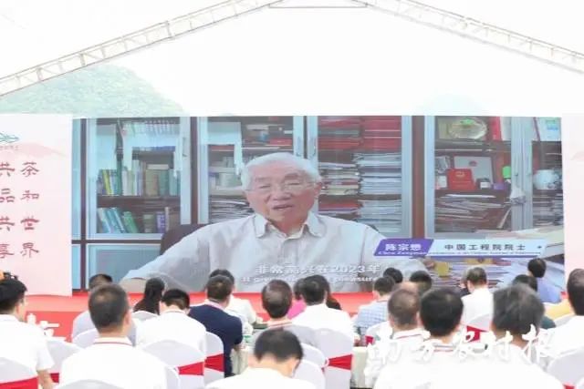 2023“國(guó)際茶日”中國(guó)主場(chǎng)廣東分會(huì)場(chǎng)(清遠(yuǎn))活動(dòng)上,中國(guó)工程院院士陳宗懋視頻致辭,。