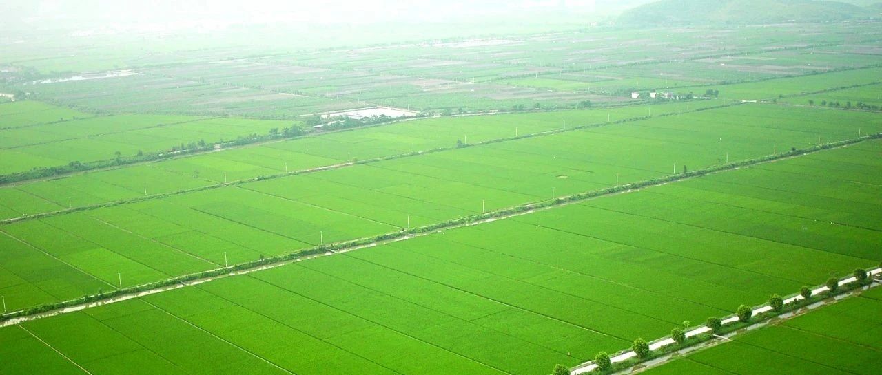 重磅！鄉(xiāng)村振興促進(jìn)法要來(lái)了,！